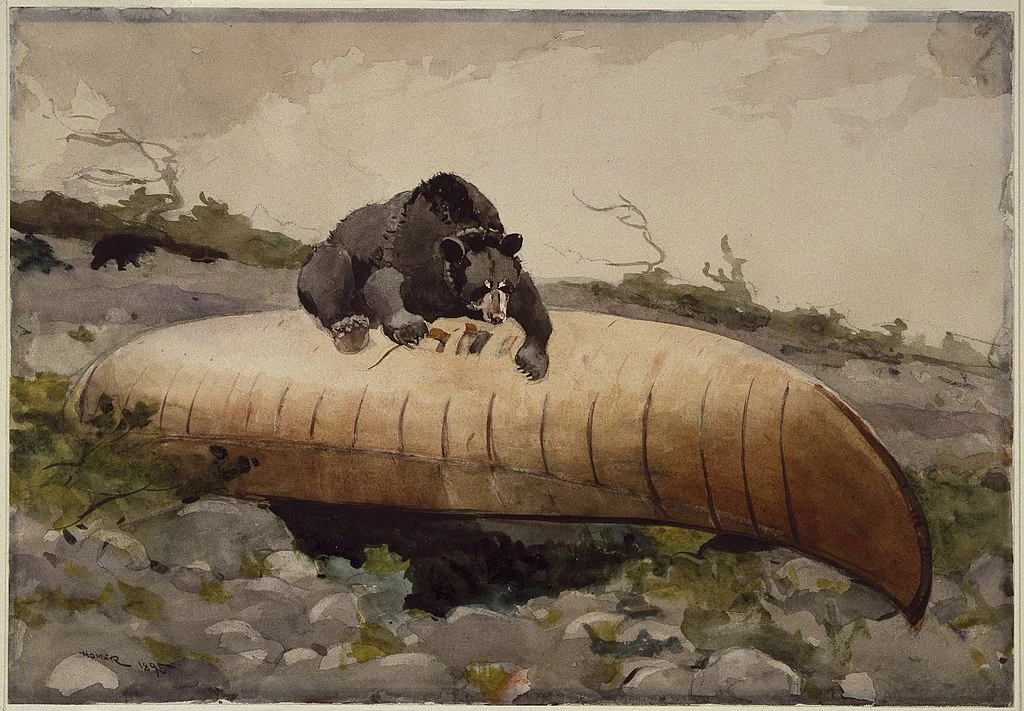 Orso e canoa - Brooklyn Museum, New York